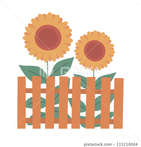 Illustration of sunflowers behind a fence 115210084