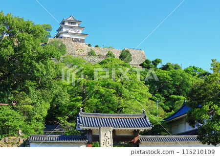 [Kagawa Prefecture] Marugame Castle on a clear May day as seen from the northern inner moat (a famous castle with a surviving castle tower and stone walls) 115210109