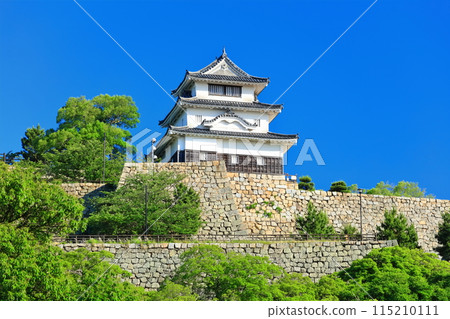 [Kagawa Prefecture] Marugame Castle on a clear May day as seen from the northern inner moat (a famous castle with a surviving castle tower and stone walls) 115210111