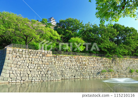 [Kagawa Prefecture] Marugame Castle on a clear May day as seen from the northern inner moat (a famous castle with a surviving castle tower and stone walls) 115210116