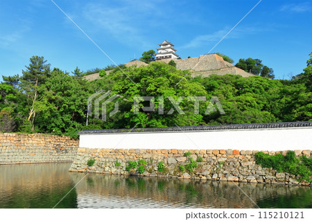 [Kagawa Prefecture] Marugame Castle on a clear May day as seen from the northern inner moat (a famous castle with a surviving castle tower and stone walls) 115210121