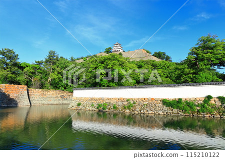 [Kagawa Prefecture] Marugame Castle on a clear May day as seen from the northern inner moat (a famous castle with a surviving castle tower and stone walls) 115210122