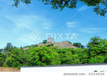 [香川縣]從北側的內護城河看到的五月天氣的丸龜城（現存天守閣和石牆的名城） 115210124