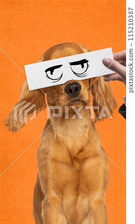 Serious pet. Purebred dog on orange background, with human hand holding drawn cartoonish eyes. Creative collage. Serious pet. Purebred dog on orange background, with human hand holding drawn cartoonish eyes. Creative collage. 115210387