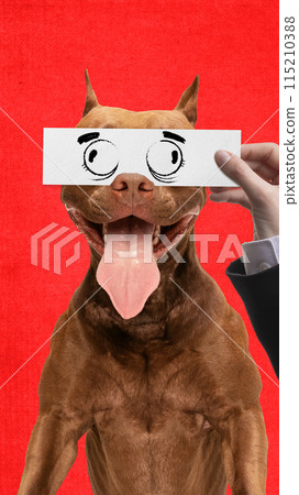 Happy, playful look. Purebred dog against bright red background, with hand holding drawn cartoonish eyes. Creative collage. Happy, playful look. Purebred dog against bright red background, with hand holding drawn cartoonish eyes. Creative collage. 115210388