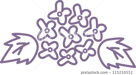 繡球花手繪插畫 繡球花手繪插畫 115210552