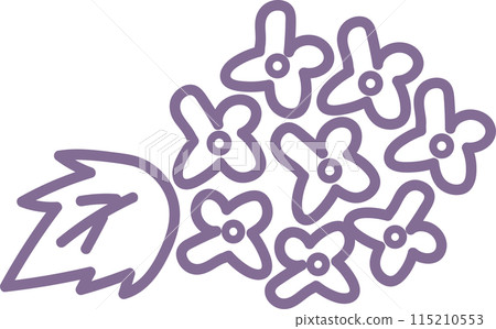 Hand-drawn illustration of hydrangea 115210553