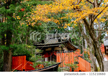 Nagaokakyo City, Kyoto Prefecture, Nishiyama, Yanagidani Kannon Temple, Okunoin, Ganriki Inari, Autumn leaves 115210660