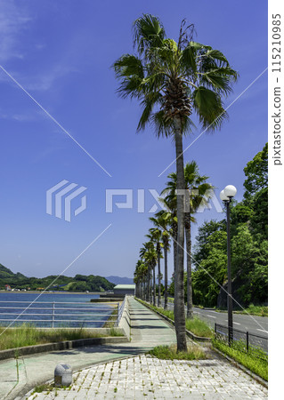 廣島縣尾道市日落海灘附近的生口島自行車道 115210985