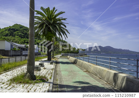 Cycling road near Sunset Beach on Ikuchi Island, Onomichi City, Hiroshima Prefecture 115210987