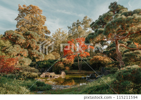 Beautiful Japanese Garden and red trees at autumn seson. A burst of fall color with pond reflections. Beautiful Japanese Garden and red trees at autumn seson. A burst of fall color with pond reflections. 115211594