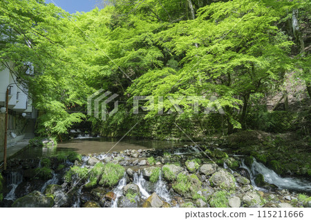 京都,貴船河床,貴船河的潺潺聲 京都,貴船河床,貴船河的潺潺聲 115211666