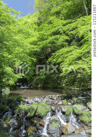 京都，貴船河床，貴船河的潺潺聲 115211667