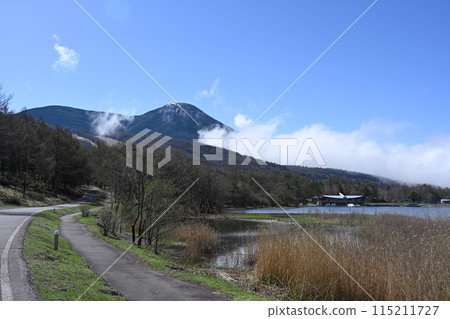 Spring Goddess Lake and Mount Tateshina/Nagano Prefecture 115211727