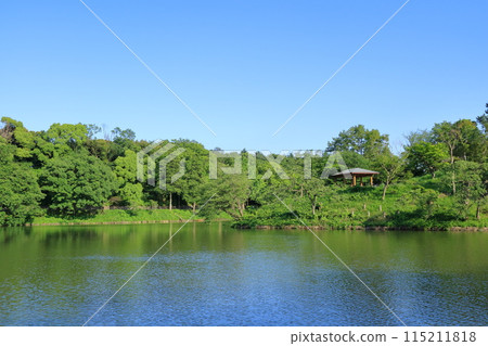 Kanagawa Prefecture, Yokohama City, Mitsuike Park 115211818