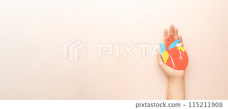 Template for cardiology, world heart day and organ donation concept. Woman hands holding human heart organ anatomy made from paper on beige background. Awareness of cardiovascular disease. 115211908