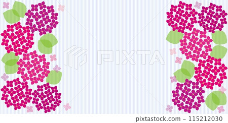Hydrangea frame stripe 115212030
