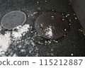 landscape with manhole 115212887