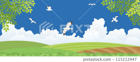 Summer country scenery 115212947