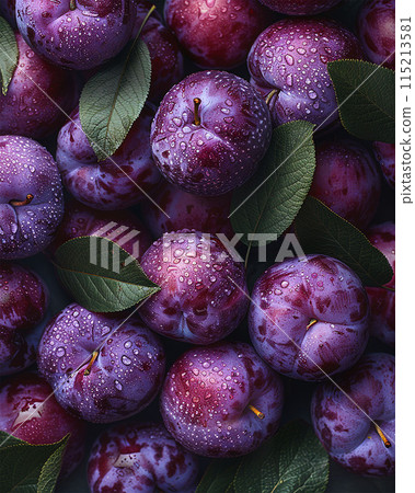 Ripe Plums Background ith intense purple hues  texture 115213581