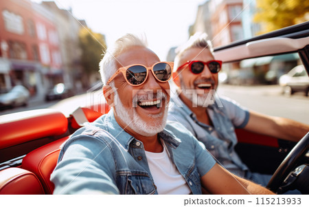 Couple of seniors have fun together, drive a car on a joint trip 115213933