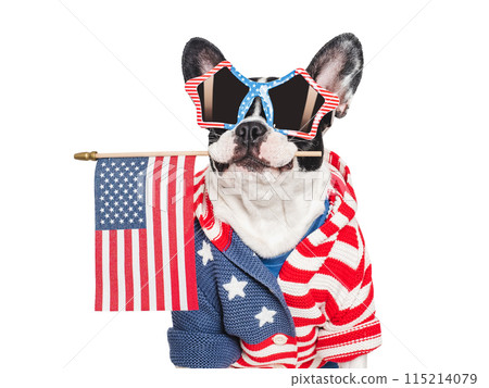 Cute puppy and American Flag. Studio shot Cute puppy and American Flag. Studio shot 115214079