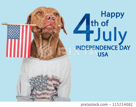 Happy Independence Day. American Flag and cute dog 115214082