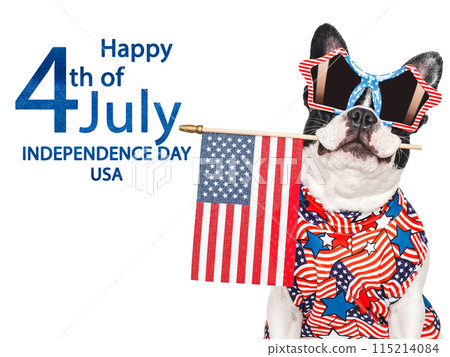 Happy Independence Day. American Flag and cute puppy 115214084