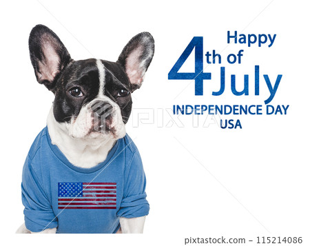 Happy Independence Day. American Flag and cute puppy Happy Independence Day. American Flag and cute puppy 115214086