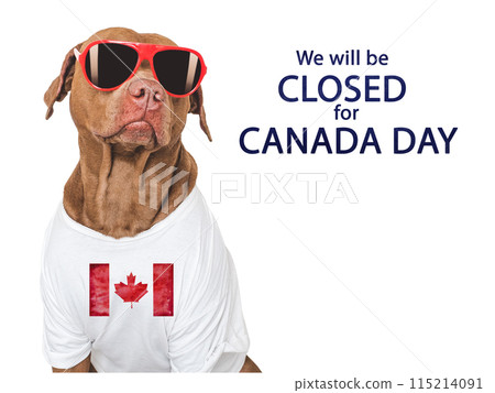 Signboard with the inscription We will be closed 115214091