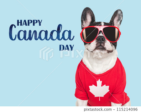 Happy Canada Day. Canadian Flag and cute puppy 115214096