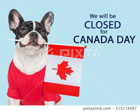 Signboard with the inscription We will be closed Signboard with the inscription We will be closed 115214097