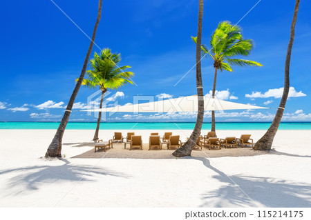 Beach chairs under a canopy on a beautiful white sand beach in Punta Cana, Dominican Republic. 115214175