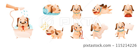 Cute Dog with Collar as Domestic Pet Engaged in Different Activity Vector Set 115214226