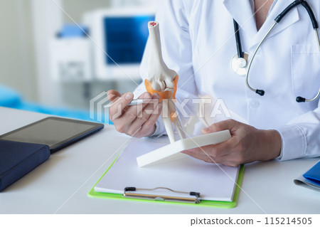 Doctor demonstrates knee joint problems on model . Doctor demonstrates knee joint problems on model . 115214505