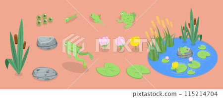 3D Isometric Flat Vector Set of Cartoon Frogs, Toad Life Cycle 3D Isometric Flat Vector Set of Cartoon Frogs, Toad Life Cycle 115214704