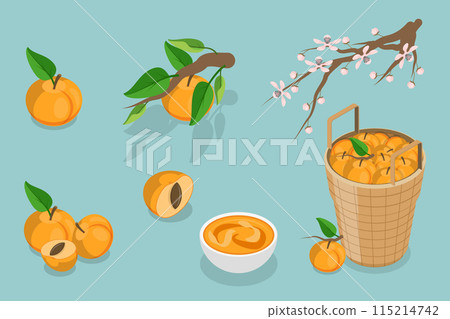 3D Isometric Flat Vector Set of Apricots and Elements, Farm Products 3D Isometric Flat Vector Set of Apricots and Elements, Farm Products 115214742