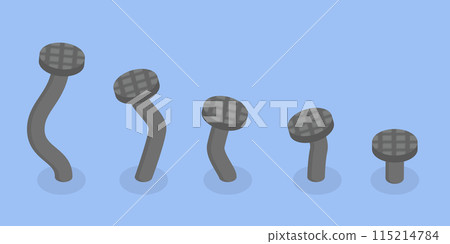 3D Isometric Flat Vector Illustration of From Beginner to Skilled Expert, Skill Level 3D Isometric Flat Vector Illustration of From Beginner to Skilled Expert, Skill Level 115214784