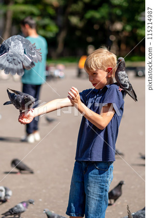 Boy feeding pigeons in the park. Selective focus. Kid. Boy feeding pigeons in the park. Selective focus. Kid. 115214987