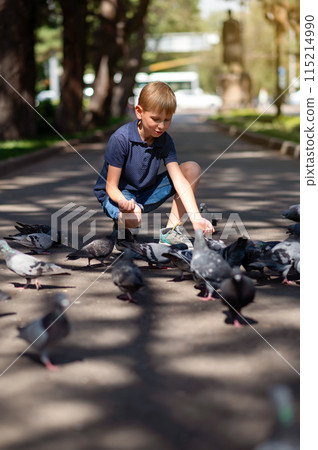 A little blond boy feeds pigeons in the park. Selective focus. A little blond boy feeds pigeons in the park. Selective focus. 115214990