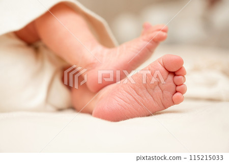 small feet of a newborn baby, close-up small feet of a newborn baby, close-up 115215033