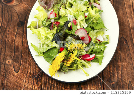 Dandelion raw salad 115215199
