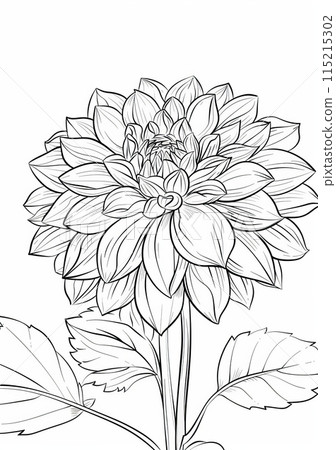 This coloring page features a detailed illustration of a single dahlia flower with leaves. The image is simple and easy for kids to color, making it perfect for a fun and creative activity 115215302
