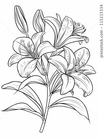 This is a simple and easy coloring page featuring a lily flower with its leaves. Its perfect for kids who are learning to color and enjoy flowers. 115215334