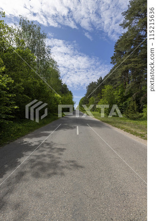 a country road of good quality in spring in a deciduous forest 115215636