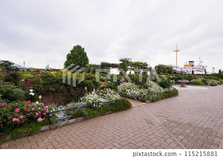 Yamashita Park in early summer (Yokohama Port) Yamashita Park in early summer (Yokohama Port) 115215881