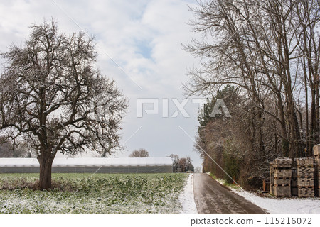 Winter Wonderland: Snow-Covered European Village Countryside. A Snow-Covered European Village in the Picturesque Countryside 115216072