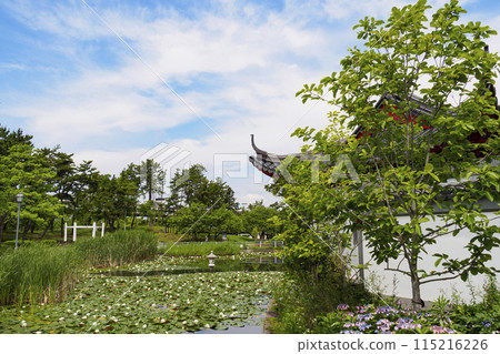神奈川縣橫濱市中區本牧市民公園橫濱上海友誼花園 115216226