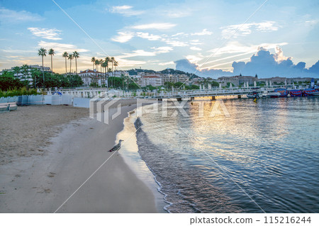 Beach in Cannes in distance palm trees of Croisette Beach in Cannes in distance palm trees of Croisette 115216244