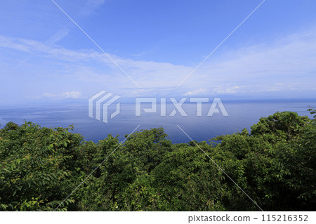 The sea seen from the mountain (Toi in Nishiizu) 115216352